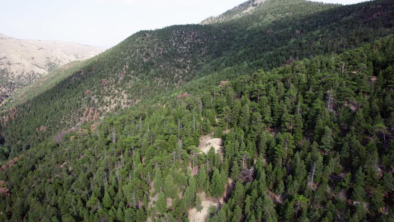 Flying over lush alpine forests in the Rocky Mountain region