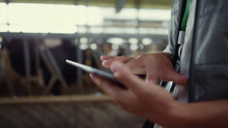 closeup farmer hands using tablet computer in modern dairy farm facility cowshed