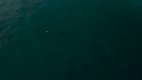 Aerial-view-of-a-dark-silhouette-from-a-pelican-flying-over-surfers