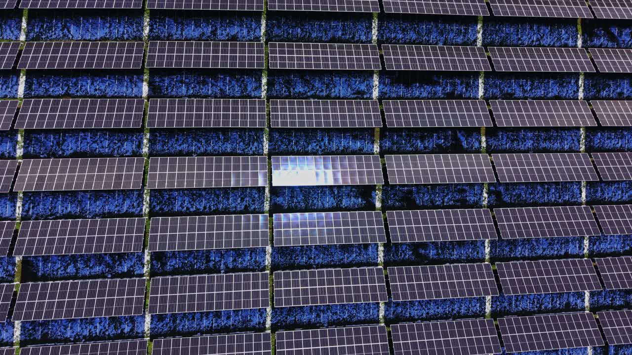 I pannelli solari coprono una vasta area in un campo di energia rinnovabile