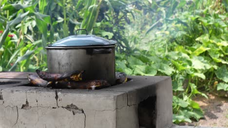 close-up of pot on stove in rural area with firewood and fire, food preparation