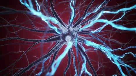 an intricate view of neural pathways: delving into the sophisticated structure of neurons and their electrifying connections in a captivating visual exploration