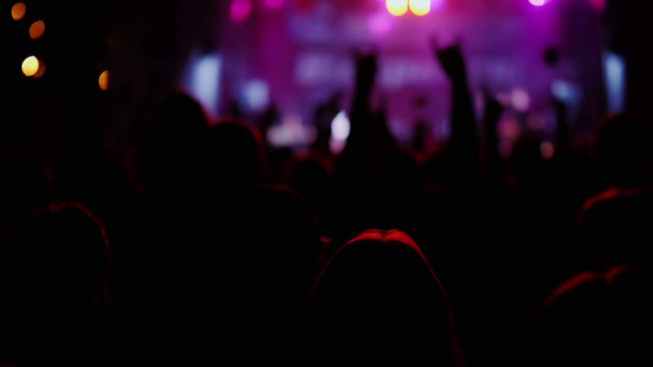 Una folla di spettatori irriconoscibili ad un concerto rock di strada. Sagome da dietro. Video 4k 10 bit.