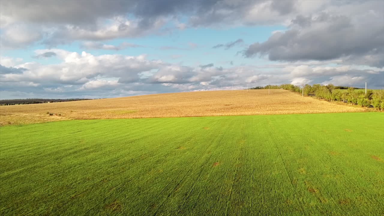 Aerial drone view of nature in Moldova. Green and yellow wide fields