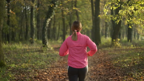 woman jogging on an autumn path in the forest