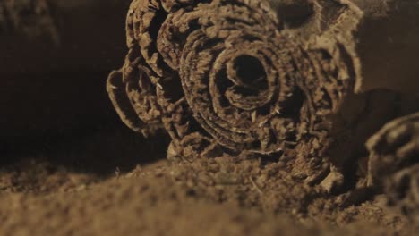 extreme macro shot, cinnamon stick falling on cinnamon powder