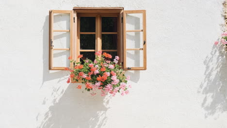 Old-Shutter-windows-with-flowers,-European-Alpine-architecture