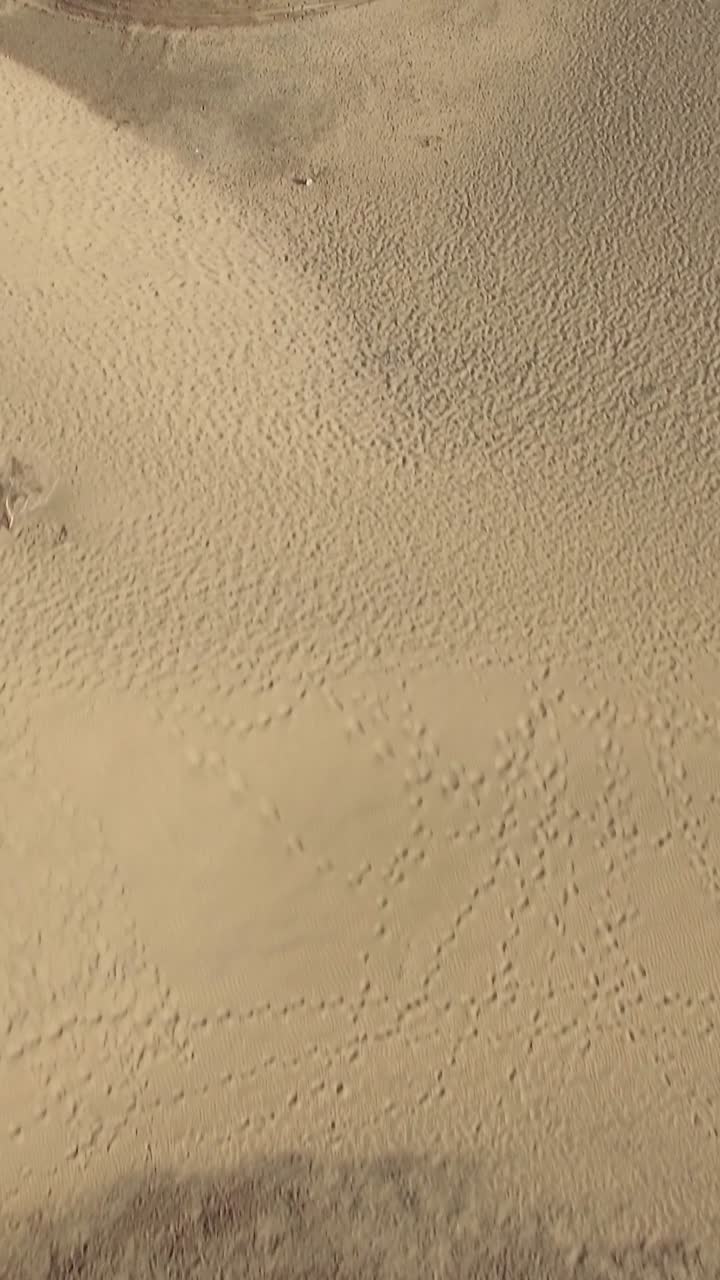 Droneoptagelse skifter fra sandklitter til havstrand