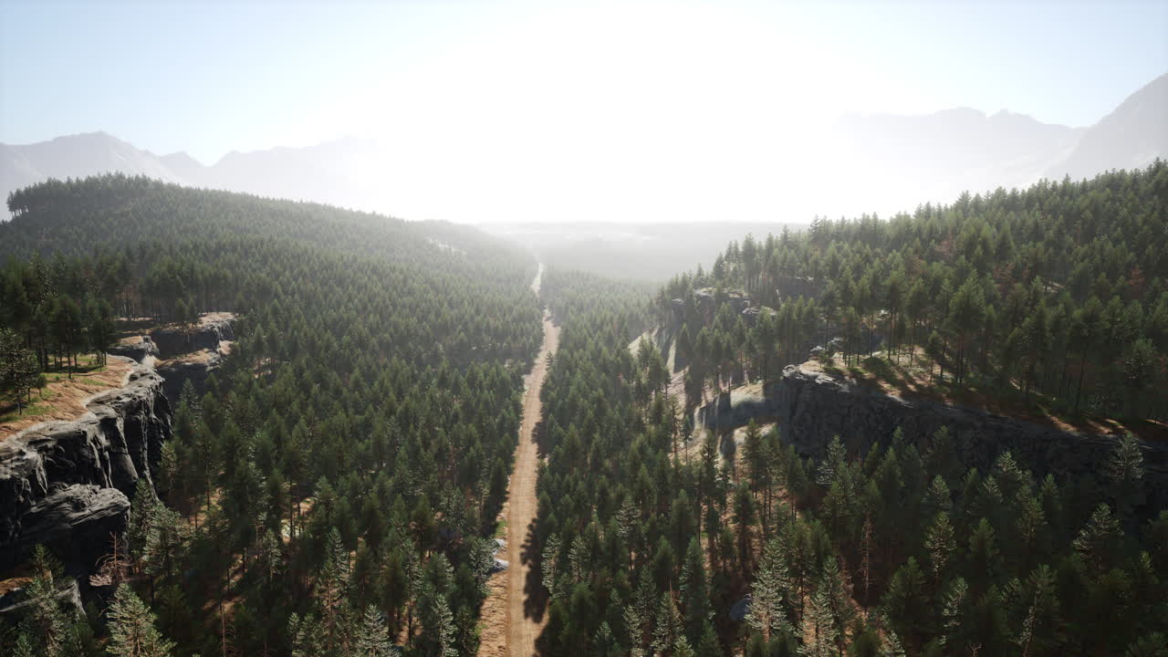 vista aérea de una carretera forestal que serpentea a través de las montañas