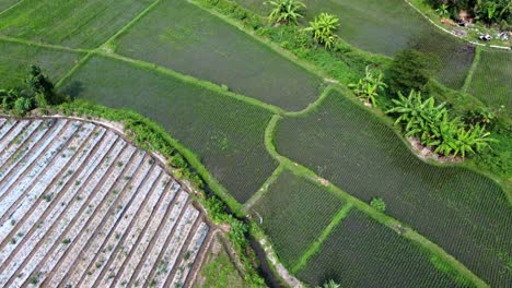 aerial shot of a beautiful field filled with water