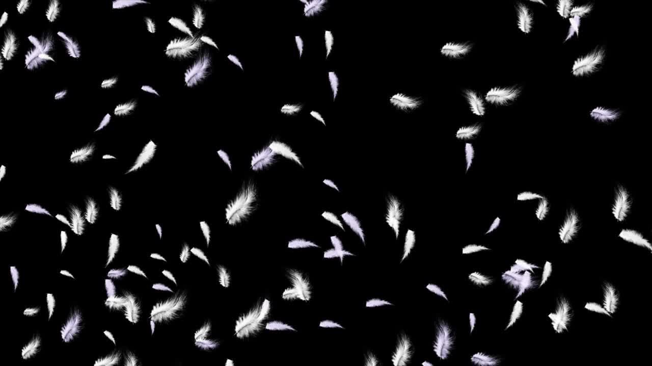 realisticos fondos de animación de plumas blancas lanzadas rápidamente y que caen lentamente en bucle.