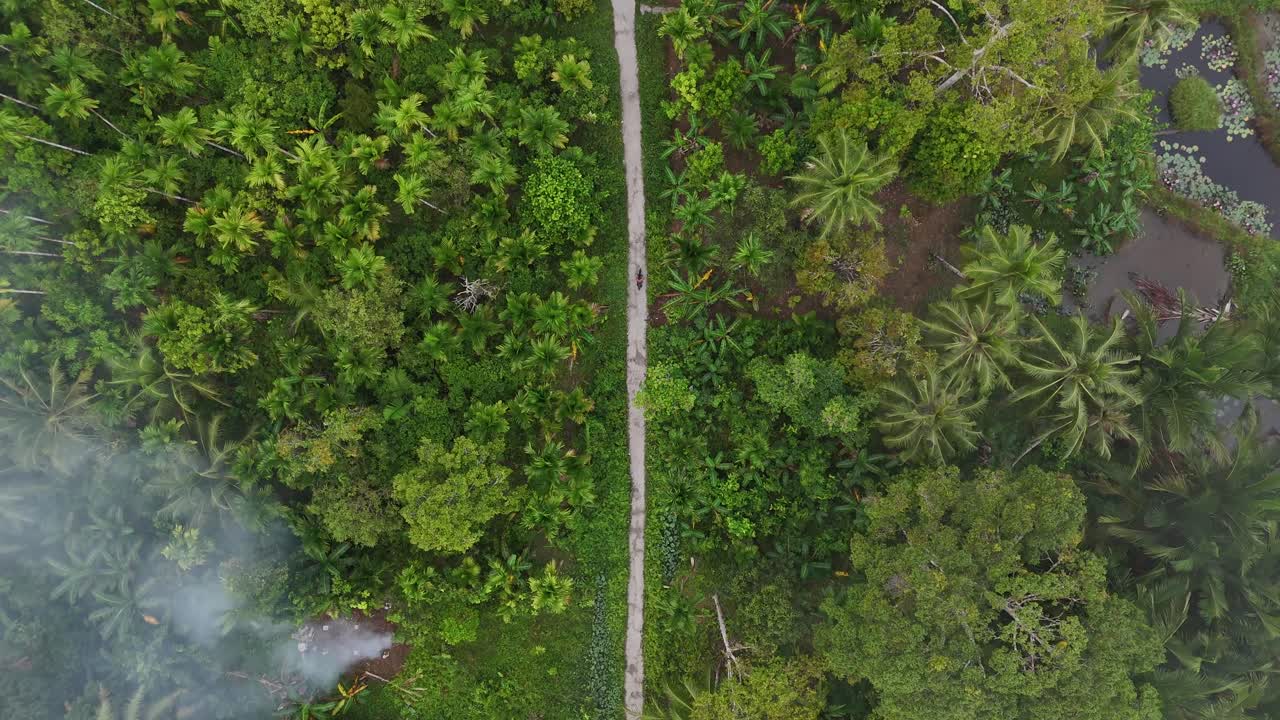 Drone birds eye view aerial shot following tracking a motorbike motorcycle rider tropical rainforest jungle west sumatra Mentawai Islands Regency indonesia