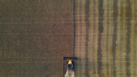 Still-aerial-vertical-drone-view-of-a-modern-combine-harvester-reaping-wheat-seeds-in-Alberta,-Canada