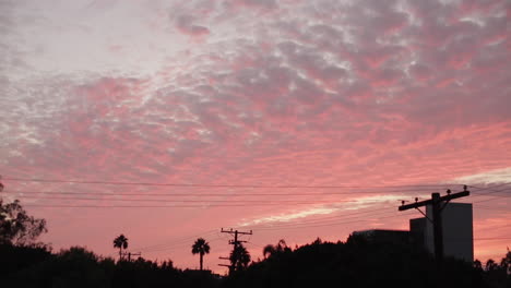 puesta de sol rosa de los ángeles con cables telefónicos y palmeras