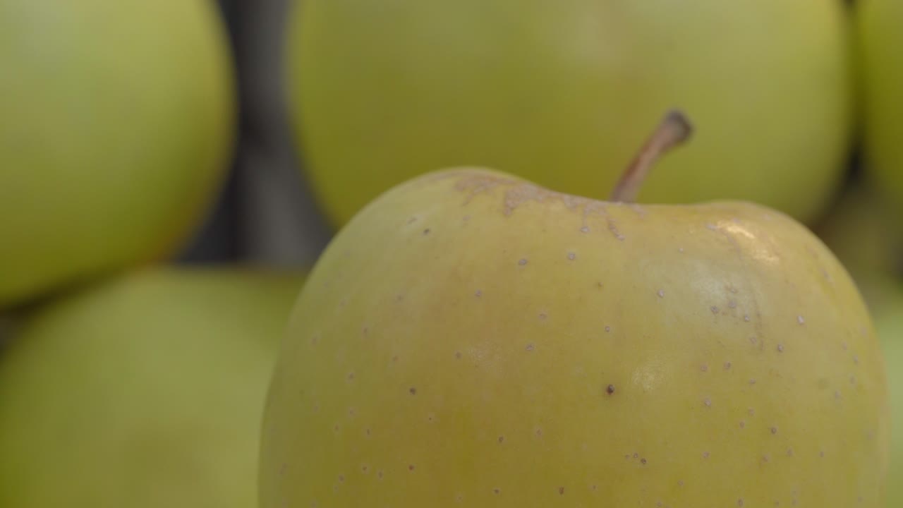 Pan left across a group of fresh green apples with shallow depth of field and soft natural light
