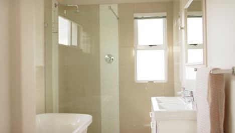 general view of modern bathroom with shower cabin, bathtub and washbasin, slow motion