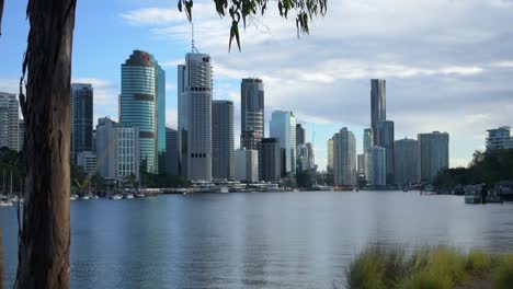 smooth dolly shot through foliage and trees to reveal the brisbane central business district across the peaceful brisbane river