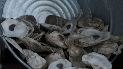 slow zoom out of oysters in a metal container