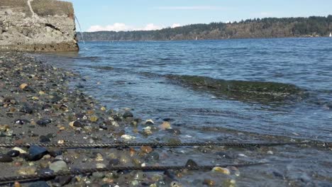 small waves lapping on a sand and pebble beach with a sea wal in the back ground