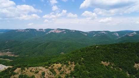 mountain landscape with lush forest