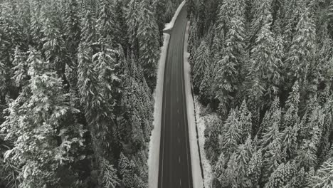 4k aerial country road in snowy forest drone overhead + dolly out shot