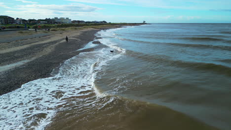 Dog-running-out-of-murky-Irish-Sea-with-whitecaps