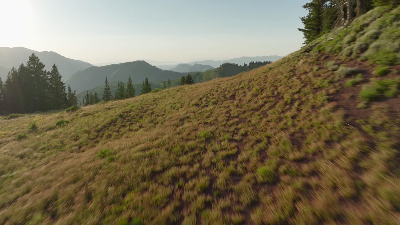 Veduta aerea di una catena montuosa remota e foresta al tramonto-4
