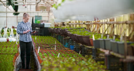 Female-Botanist-Using-Calculator-At-Greenhouse-2