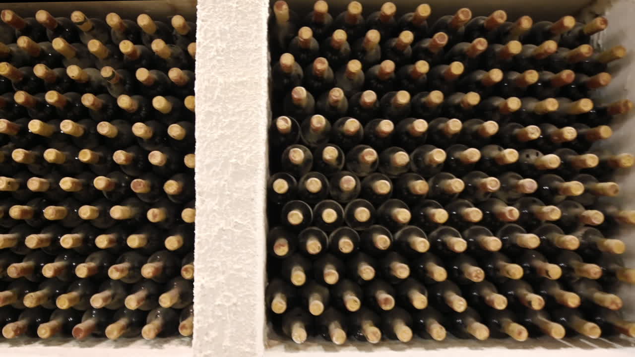 Wine bottles in a winery cellar