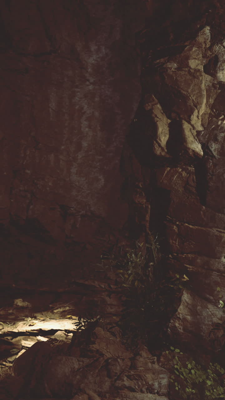 Interno di una grotta con pareti rocciose e piccola vegetazione visibile sul terreno.