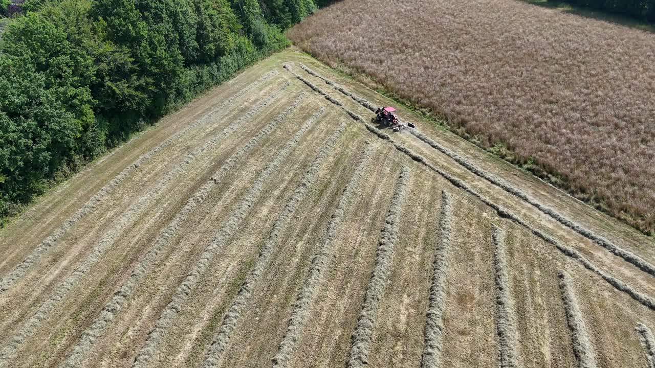 Tractor with historic harvester machinery cutting wheat field in American countryside. Summer season in USA. Aerial top down shot. Stalks and hay lying on cutted farm field