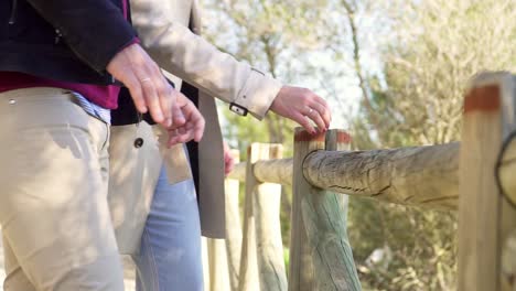 Zeitlupenaufnahme-Eines-Paares,-Das-über-Den-Rand-Einer-Holzbrücke-Auf-Den-Fluss-Schaut