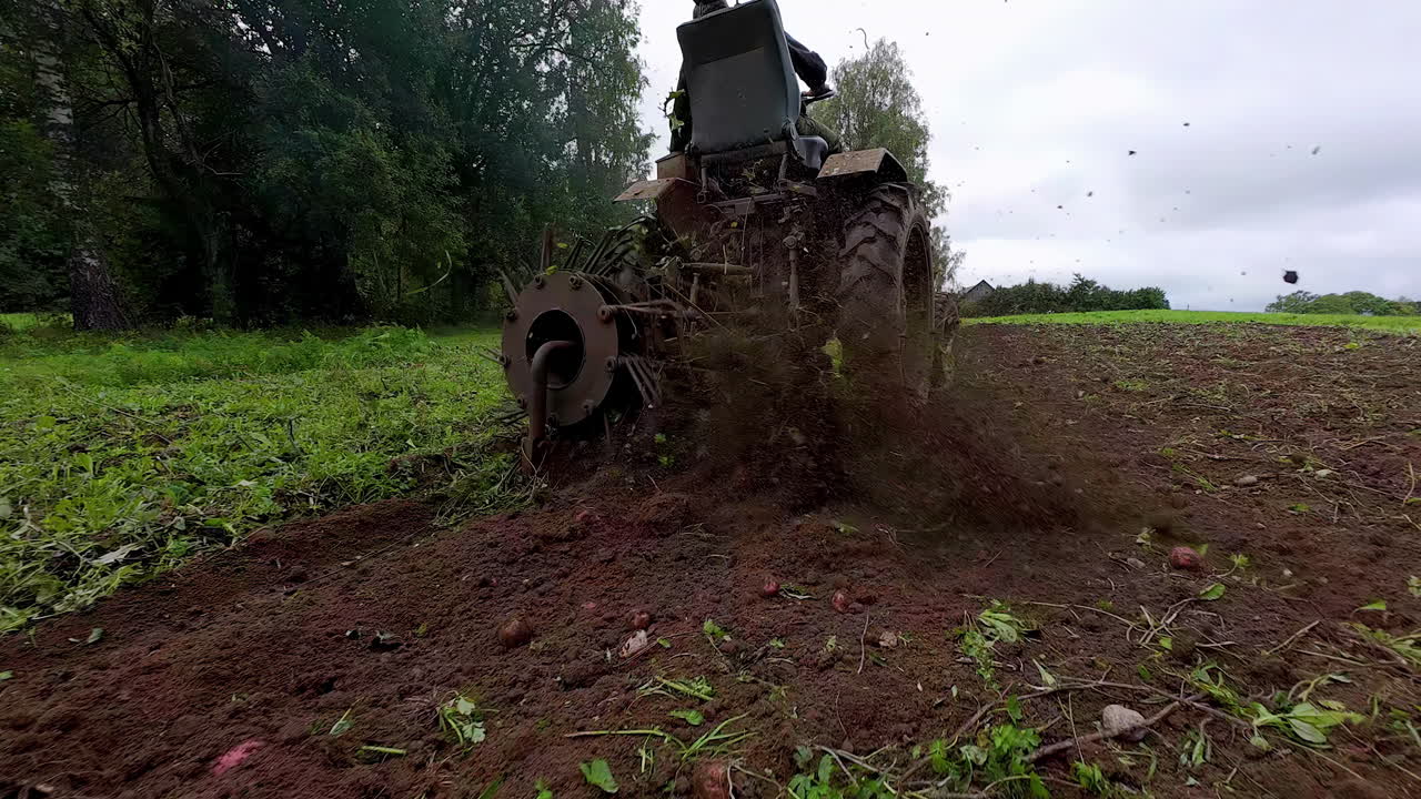 더 많은 가공을 위해 에서 발굴 된 감자의 트랙터의 느린 동작 클립