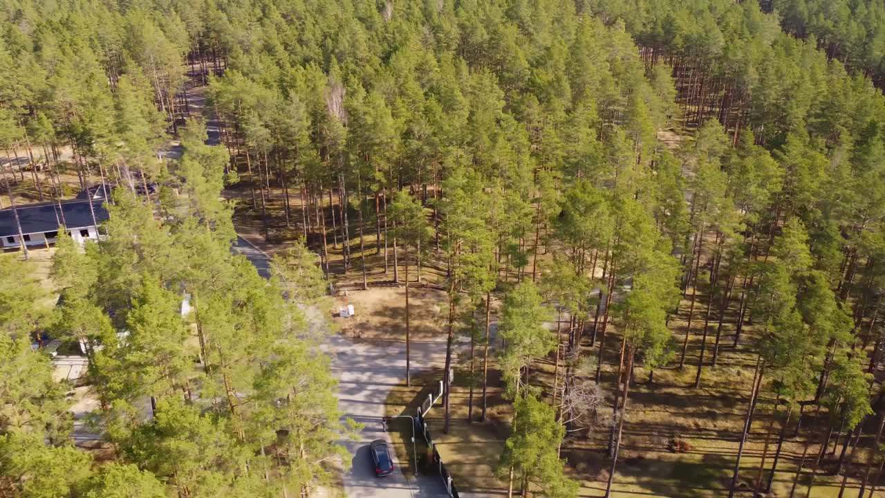 Auto Su Strada Forestale Attraverso I Pini A Pardaugava, Riga, Lettonia. ripresa aerea