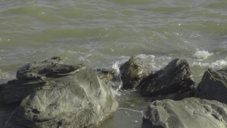 24fps-Normal-speed-footage-in-Galveston-beach