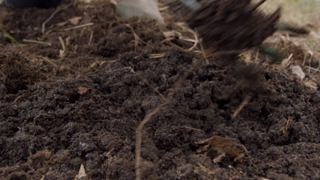 Close-up-view-of-the-hands-of-an-activist-plowing-the-land-around-a-tree-in-the-forest