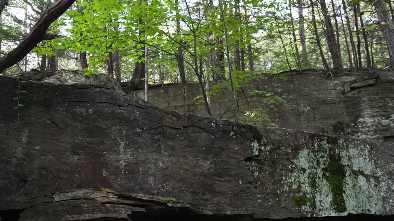 fondo de piedra negra en un tiro inclinado del bosque
