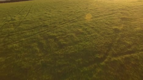 Sobrevuelo-Aéreo-De-Pastizales-Agrícolas-Con-Revelación-Del-Amanecer-Y-Destellos-De-Lente