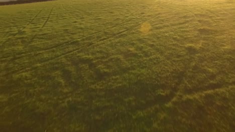 sobrevuelo aéreo de pastizales agrícolas con la revelación del amanecer y el destello de la lente