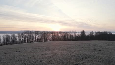 flying over a frozen meadow and bare deciduous trees to reveal an incredible foggy sunrise