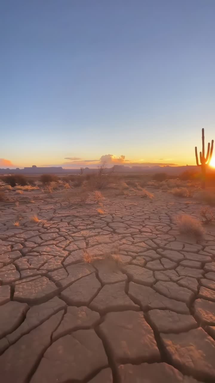 Video con angolazione dal basso di un paesaggio desertico crepato al tramonto, che evidenzia la silhouette di un cactus.