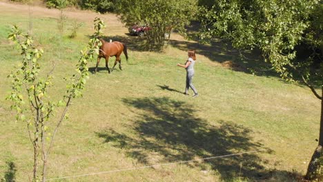 Toma-Aérea,-Un-Dron-Vuela-Sobre-Ciruelos-Filmando-A-Una-Niña-Y-Un-Caballo-Entrenando,-Bulgaria