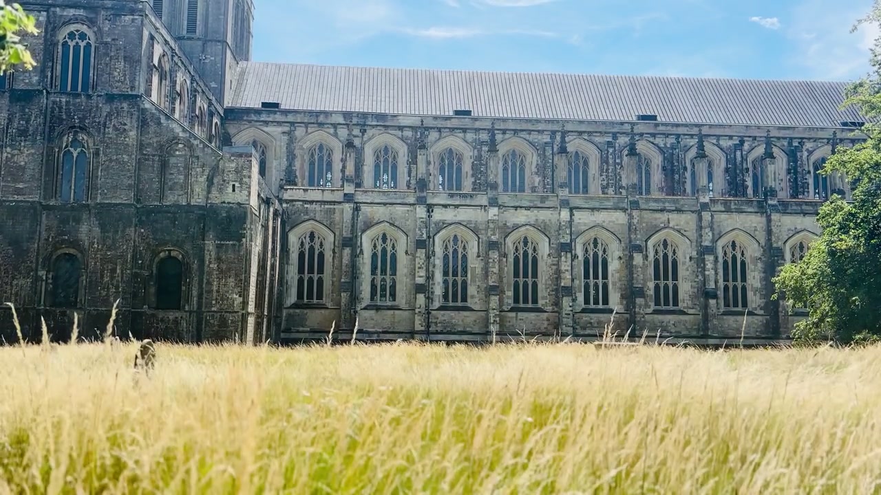 Hohes Gras wiegt sich vor der Kathedrale von Winchester, die gotische Steinarchitektur, Bogenfenster, eine historische Fassade und eine Sommerwiese unter klarem blauem Himmel in Winchester, Großbritannien, zeigt.