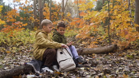 kids sitting on a dead tree