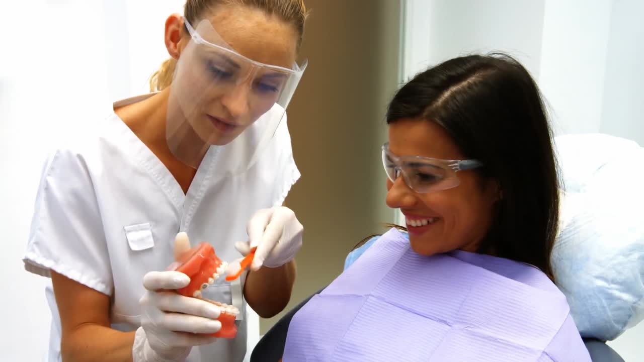 Dentist showing model teeth to female patient