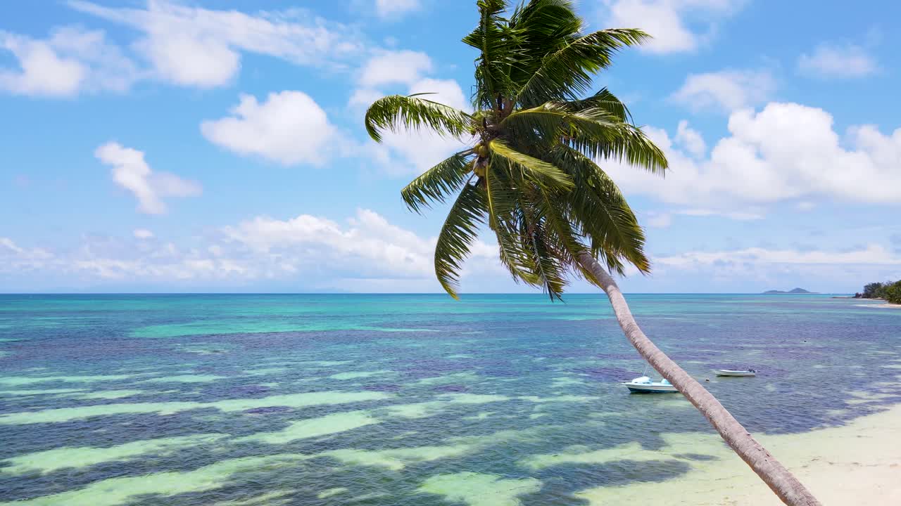 Seychelles Praslin Palma Drone Aereo 5.mp4