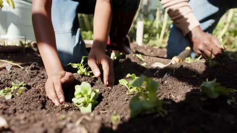 de las manos de un niño afroamericano plantando verduras en un jardín soleado, cámara lenta