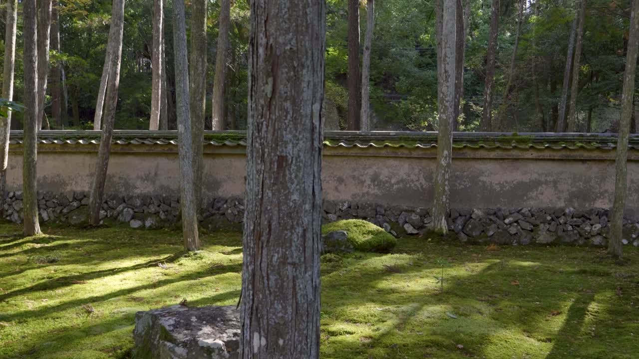 Stunning slider over moss covered temple grounds in Japan