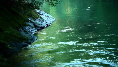 Un-Río-Fluye-Lentamente-A-Través-De-Un-Bosque