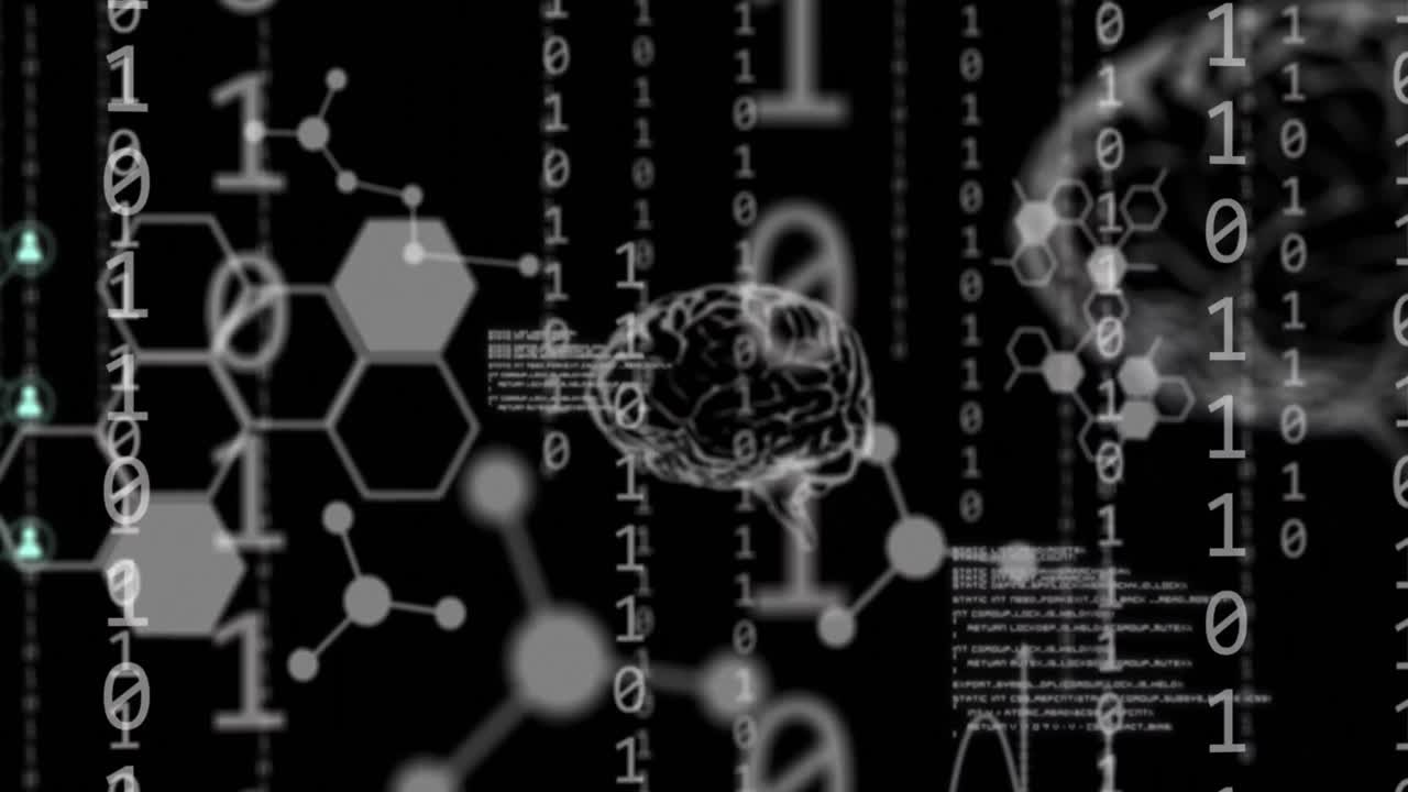 인간 뇌의 애니메이션, 바이너리 코딩 및 데이터 처리